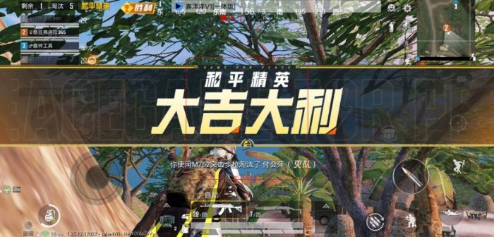 和平精英正规卖挂平台 - 授权辅助卡密发卡官网